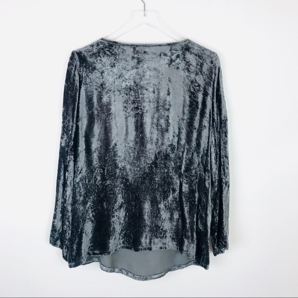 Boston Proper crushed velvet embroidered top - Picture 2 of 6